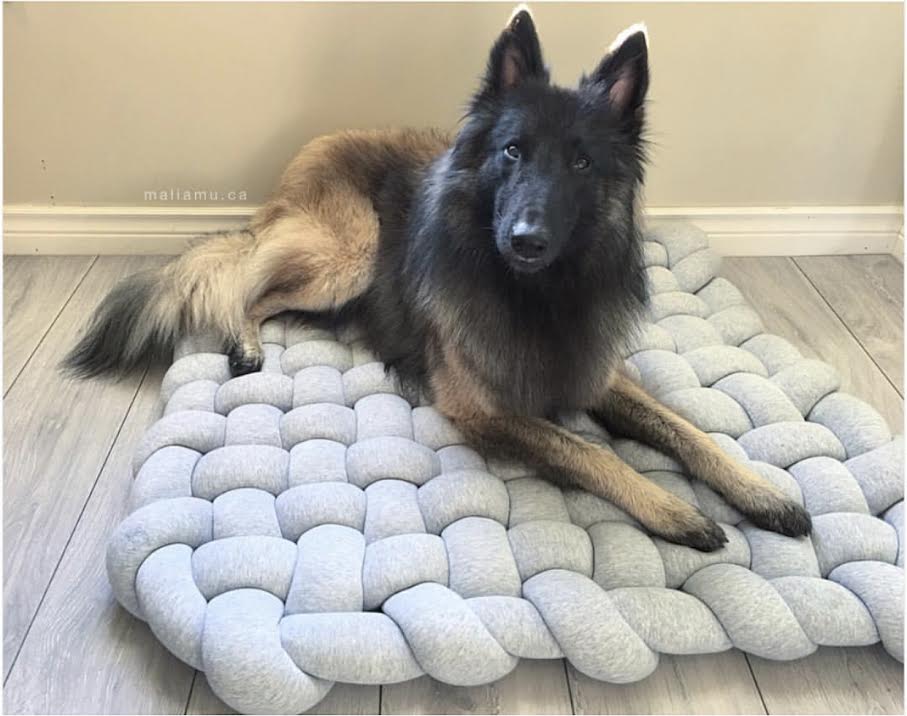 Dog clearance floor cushion